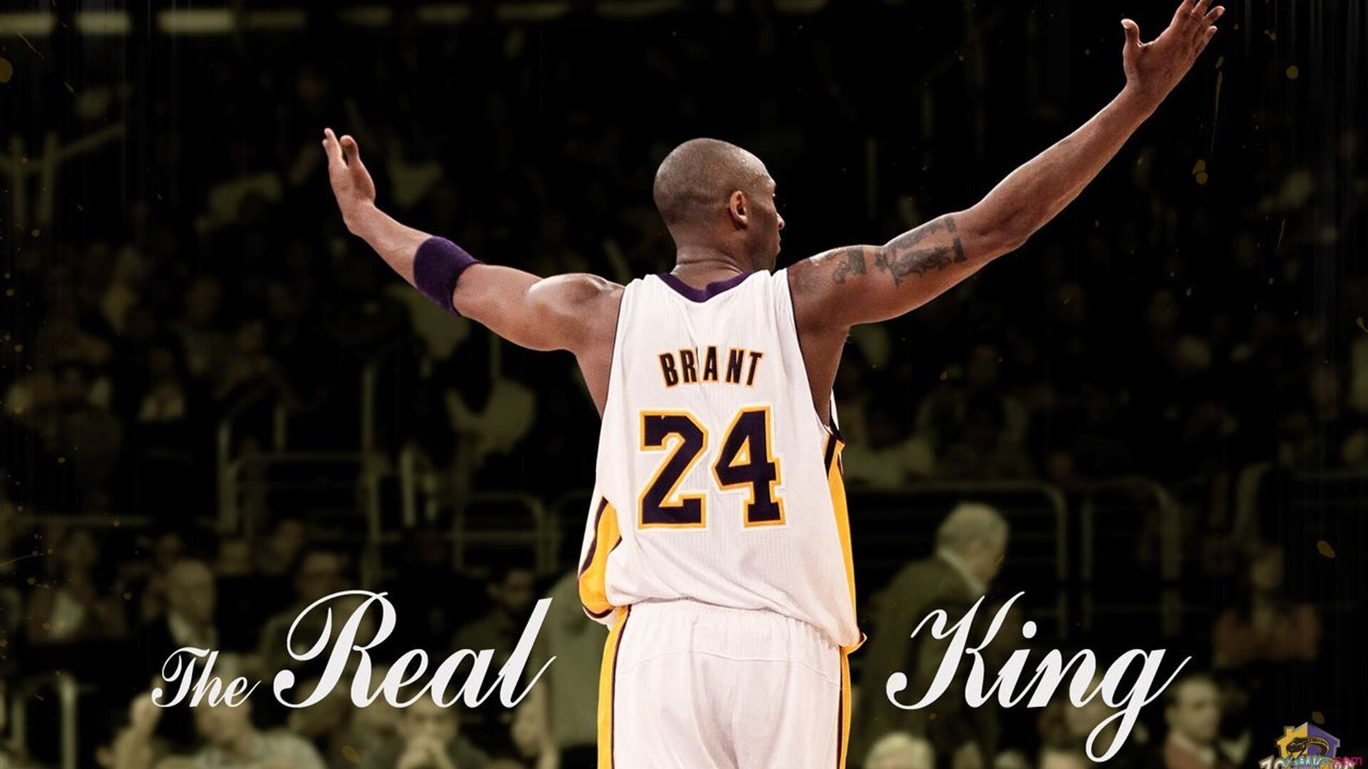 中国篮球运动对地方政府政绩考核的影响，国家对篮球的重视